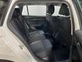 Skoda Octavia Combi 1,5 iV Style DSG ***LED | ACC*** Weiß - thumbnail 19