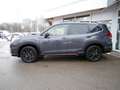 Subaru Forester 2.0ie Exclusive Cross ACC LED PANO Grijs - thumbnail 30