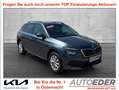 Skoda Kamiq 1,0 TSI Ambition DSG Grau - thumbnail 1