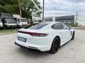 Porsche Panamera 2.9 4 e-hybrid IVA ESPOSTA - thumbnail 4