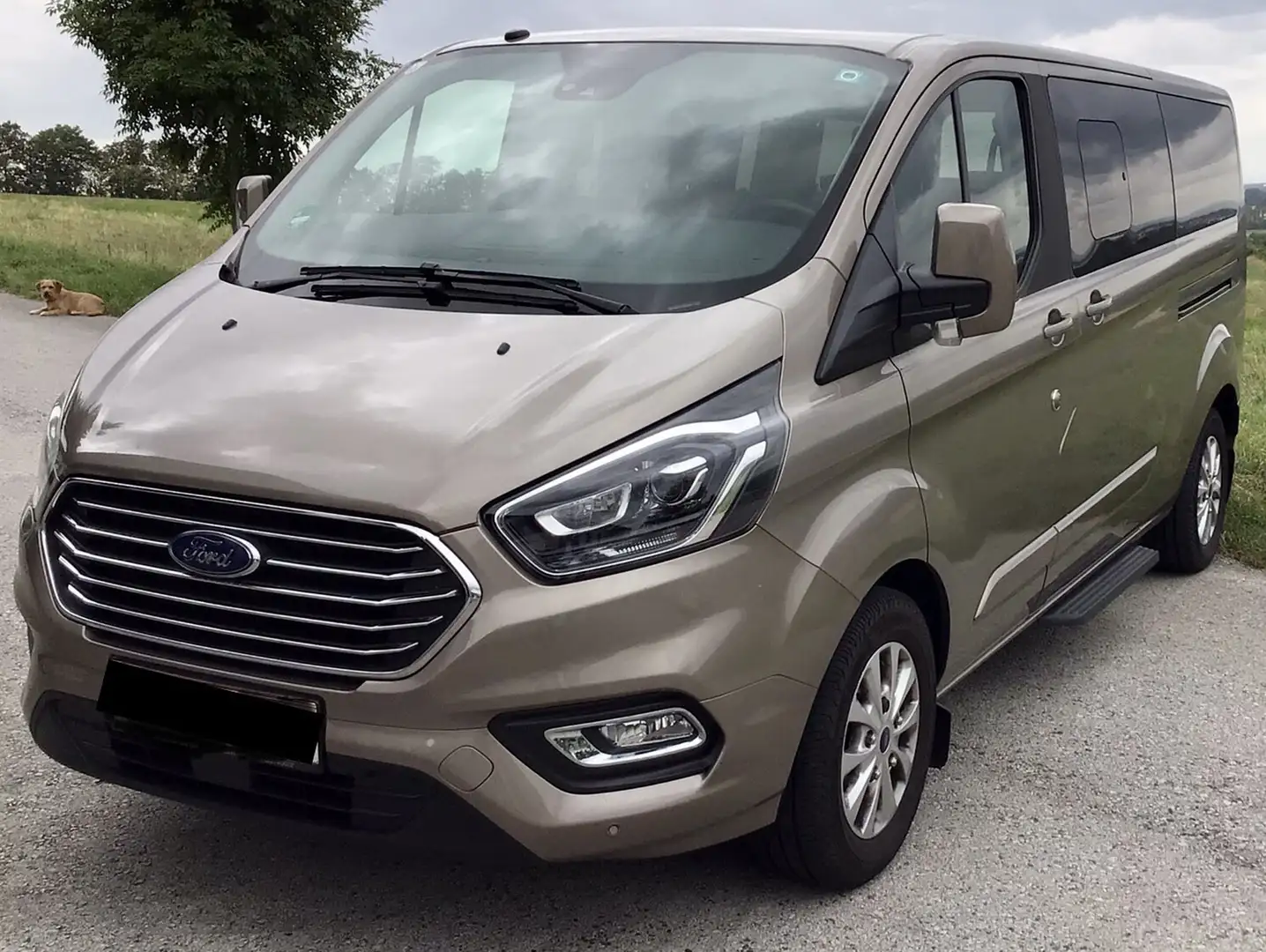 Ford Tourneo Custom L2H1 Titanium 2,0 TDCi Aut. Bronze - 1