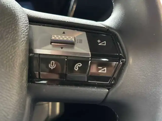 DS Automobiles DS 4 view 19
