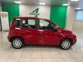 Fiat Panda Panda 1.0 firefly hybrid s Rosso - thumbnail 7