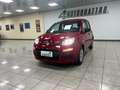 Fiat Panda Panda 1.0 firefly hybrid s Rosso - thumbnail 2