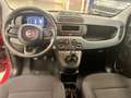 Fiat Panda Panda 1.0 firefly hybrid s Rosso - thumbnail 14