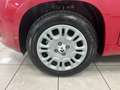 Fiat Panda Panda 1.0 firefly hybrid s Rosso - thumbnail 3