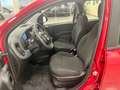 Fiat Panda Panda 1.0 firefly hybrid s Rosso - thumbnail 9