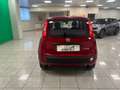 Fiat Panda Panda 1.0 firefly hybrid s Rosso - thumbnail 5