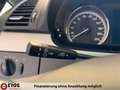 Mercedes-Benz Viano 2.2 CDI Edition extralang "Klima,8Si,PDC" Beige - thumbnail 19