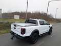 Ford Ranger Ranger Wildtrak pHEV 2.3 Aut. 3,5t AHK - E-Roll... Weiß - thumbnail 9