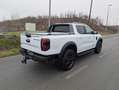 Ford Ranger Ranger Wildtrak pHEV 2.3 Aut. 3,5t AHK - E-Roll... Weiß - thumbnail 8