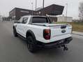 Ford Ranger Ranger Wildtrak pHEV 2.3 Aut. 3,5t AHK - E-Roll... Weiß - thumbnail 12