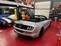Ford Mustang 2.3 EcoBoost cabriolet Zilver - thumbnail 12