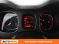 Fiat Panda 1.0 Mild-Hybrid Sport Grau - thumbnail 20