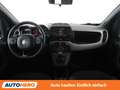 Fiat Panda 1.0 Mild-Hybrid Sport Grau - thumbnail 12