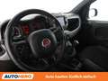 Fiat Panda 1.0 Mild-Hybrid Sport Grau - thumbnail 11