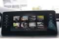 Skoda Scala 1.5 Navi Kamera AHK DAB LED Blau - thumbnail 10