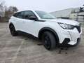 Peugeot 2008 2008 PureTech 130 S Weiß - thumbnail 1