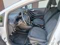 Ford Fiesta 1.0 ecoboost ST-Line 125cv tua a €  164 mese Bianco - thumbnail 12