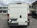 Citroen Jumper 33 L3H2  3,3 t Weiß - thumbnail 10