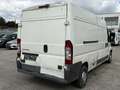 Citroen Jumper 33 L3H2  3,3 t Weiß - thumbnail 5