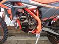 Beta Xtrainer 250 2025 Vorführer neuwertiger Zustand Rouge - thumbnail 4