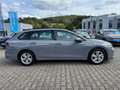 Volkswagen Golf Variant Golf VIII Variant Life 1.5 TSI, AHK, LED, Klima Gris - thumbnail 6