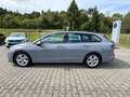 Volkswagen Golf Variant Golf VIII Variant Life 1.5 TSI, AHK, LED, Klima Gris - thumbnail 10