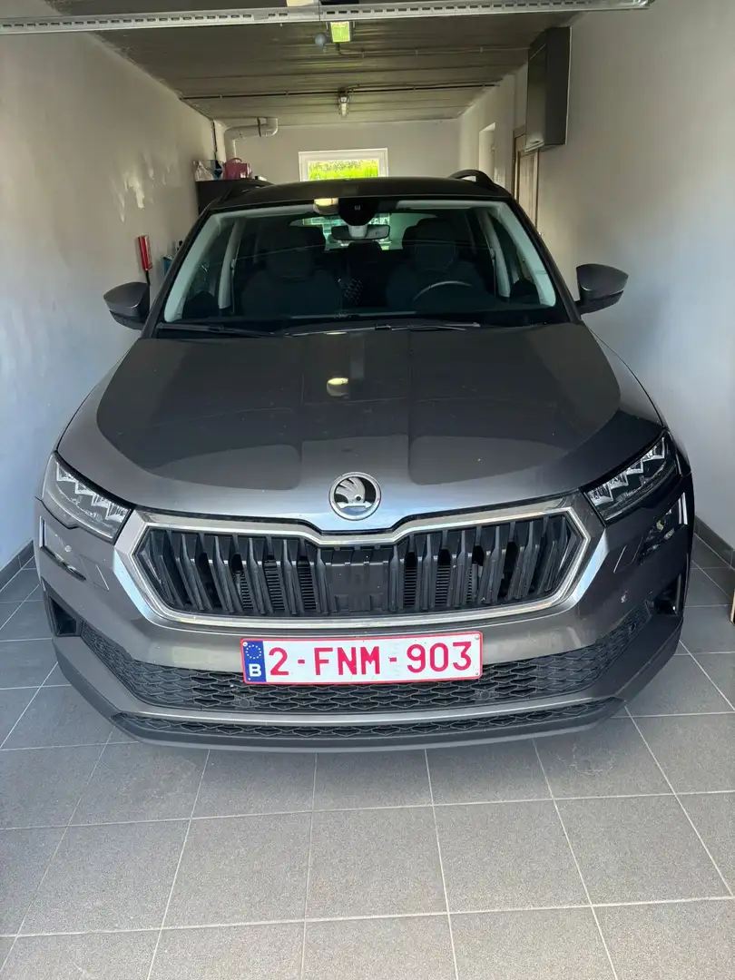 Skoda Karoq Karoq 1.5 TSI ACT DSG Drive Gris - 1