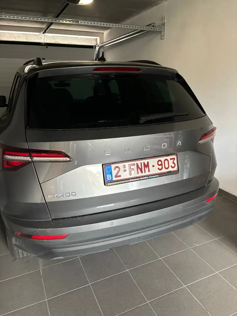 Skoda Karoq Karoq 1.5 TSI ACT DSG Drive Gris - 2