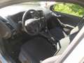 Ford Focus Turnier Business, Navi, Klima, Tempomat, ZR-neu Silber - thumbnail 5