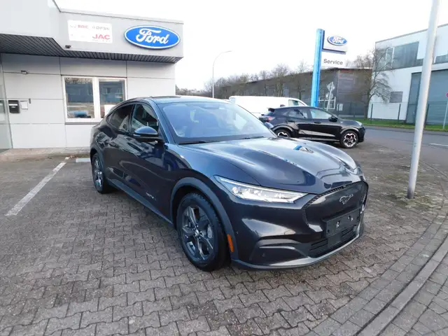 Ford Mustang Mach-E Basis  99kWh, Pano/Technology-P.