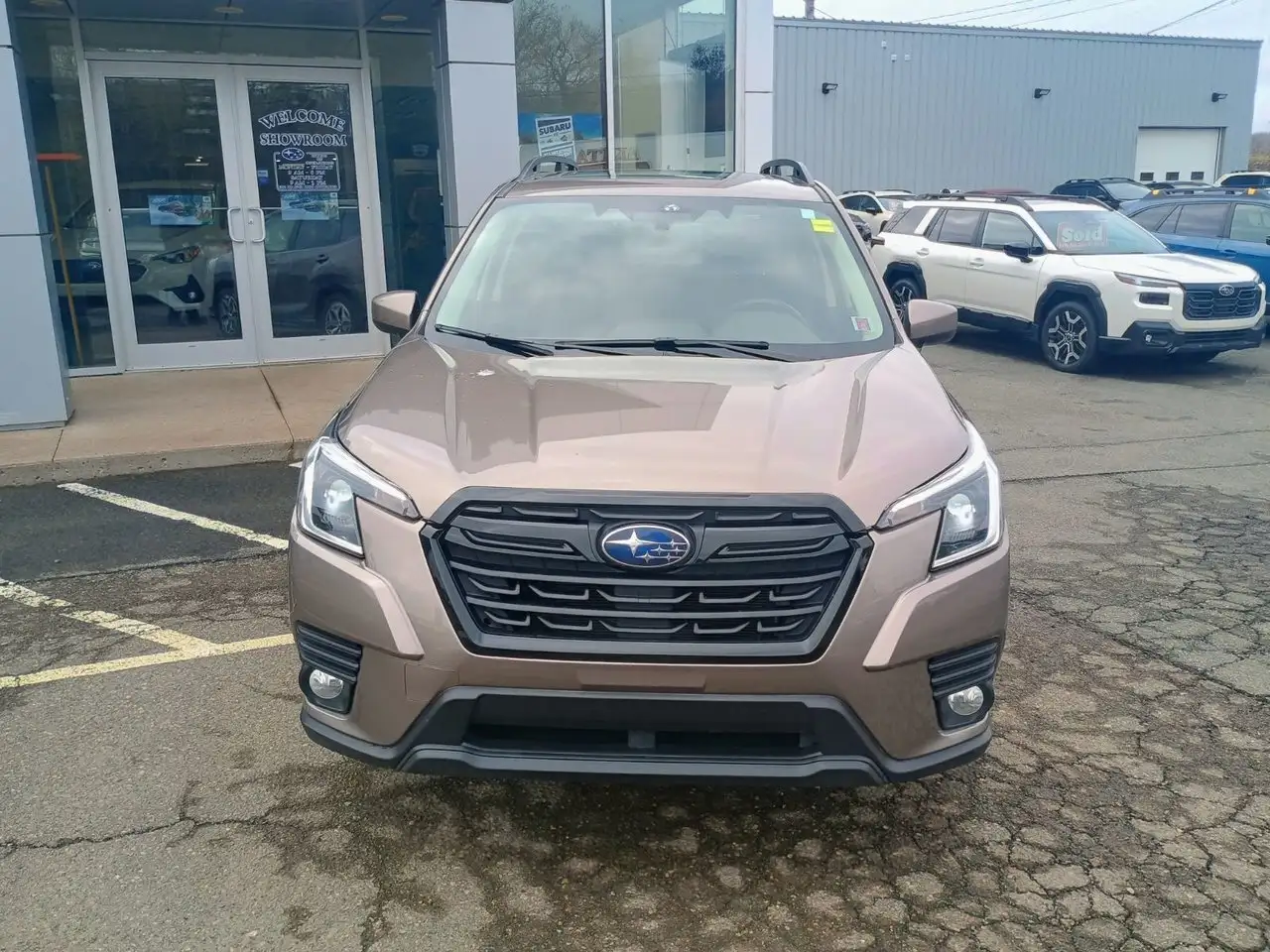 Subaru Forester fotografie Subaru Forester