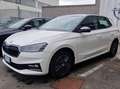 Skoda Fabia Fabia 1.0 tsi evo Style 110cv dsg Wit - thumbnail 14