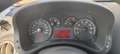 Fiat Panda Panda 1.2 Dynamic Natural Power Mamy Vert - thumbnail 13
