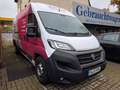 Fiat Ducato Maxi Grossr.-Kasten 35 160 L5H2 RS: 4035 Weiß - thumbnail 2