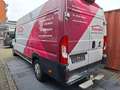 Fiat Ducato Maxi Grossr.-Kasten 35 160 L5H2 RS: 4035 Weiß - thumbnail 3