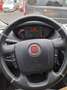 Fiat Ducato Maxi Grossr.-Kasten 35 160 L5H2 RS: 4035 Weiß - thumbnail 10
