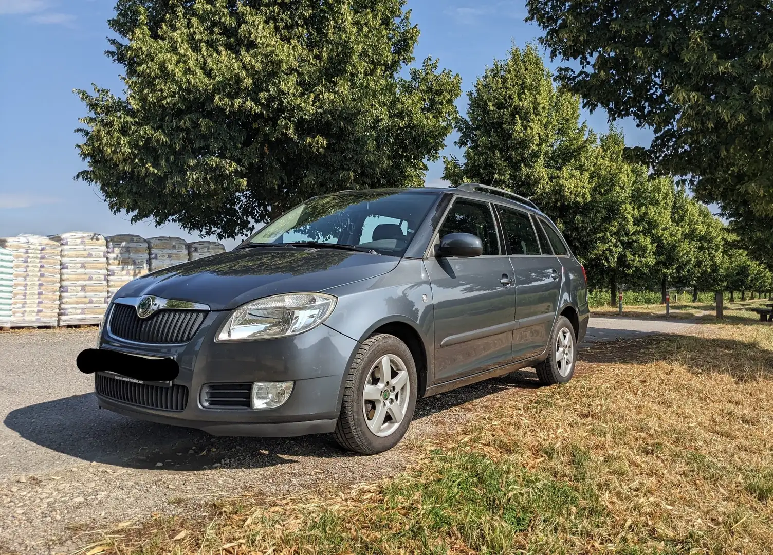 Skoda Fabia Fabia II Combi Diesel 1.4 TDI Combi GreenLine - 1