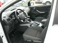 Ford Kuga Champions"1.Hand"Klima"PDC"18Zoll"Bluetooth Weiß - thumbnail 22