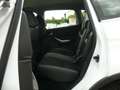 Ford Kuga Champions"1.Hand"Klima"PDC"18Zoll"Bluetooth Weiß - thumbnail 23