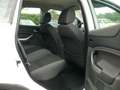 Ford Kuga Champions"1.Hand"Klima"PDC"18Zoll"Bluetooth Weiß - thumbnail 21