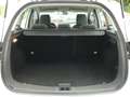 Ford Kuga Champions"1.Hand"Klima"PDC"18Zoll"Bluetooth Weiß - thumbnail 25