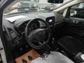 Ford EcoSport 1.5 TDCi 100 CV Start&Stop ST-Line Grigio - thumbnail 14