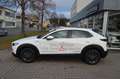 Mazda CX-30 SKYACTIV Benzin 140PS 6AG Centre-line Navi Bílá - thumbnail 4