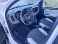 Fiat Panda 1.3 4x4 75 cv Antartica Blocco Differenziale Eld - thumbnail 5