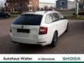 Skoda Octavia 1.6 TDI DPF Soleil Biały - thumbnail 4