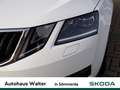 Skoda Octavia 1.6 TDI DPF Soleil Biały - thumbnail 6