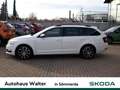 Skoda Octavia 1.6 TDI DPF Soleil Biały - thumbnail 3