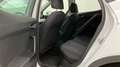 SEAT Arona 1,0 TSI Style DSG Weiß - thumbnail 9